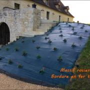 massif rosier